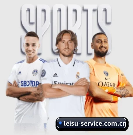 leisu-service.com.cn的方向 - 长期内容价值积累